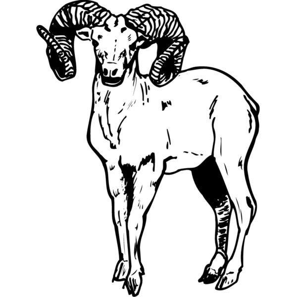 RAM006 Thumbnail