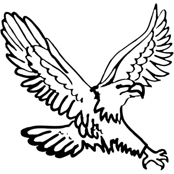 EAGLE40 Thumbnail