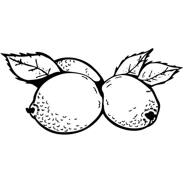 FRUIT036 Thumbnail