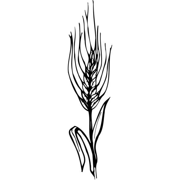 GRAIN009 Thumbnail